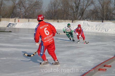 хоккей с мячом арсеньевский восток