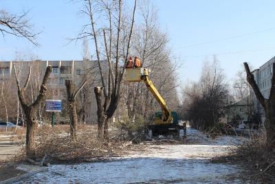 подрезка деревьев Арсеньев