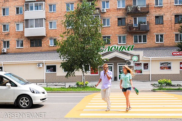 пешеходы на пешеходном переходе Арсеньев