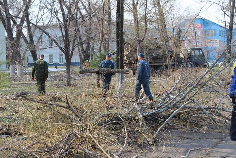 обрезка деревьев