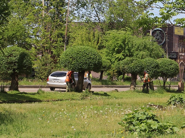 обрезка деревьев